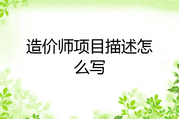 造价师项目描述怎么写