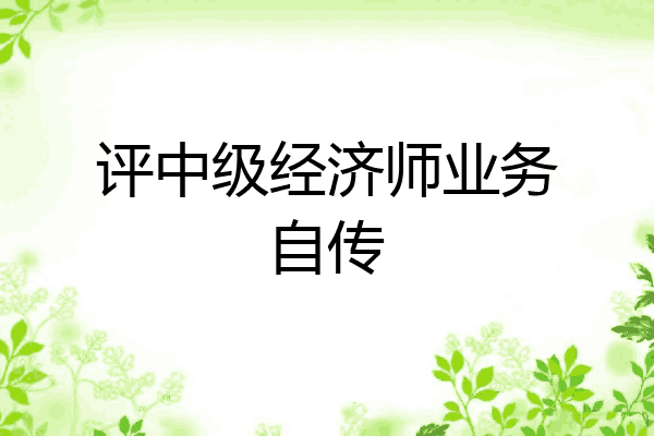 评中级经济师业务自传