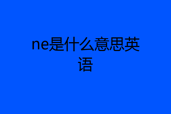 ne是什么意思英语