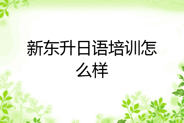新东升日语培训怎么样