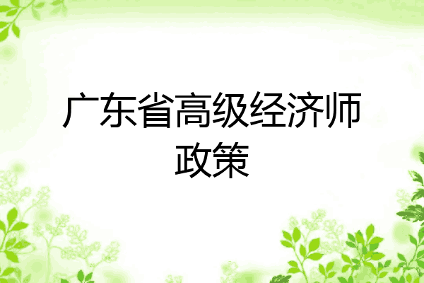 广东省高级经济师政策