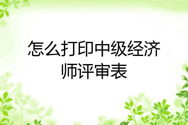 怎么打印中级经济师评审表