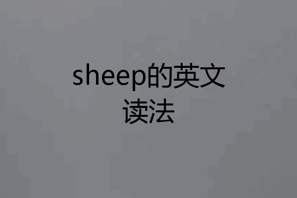sheep的英文读法