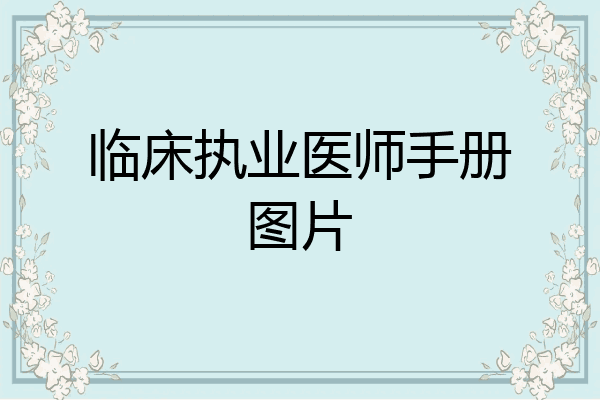 临床执业医师手册图片