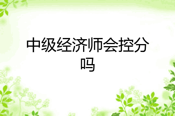 中级经济师会控分吗
