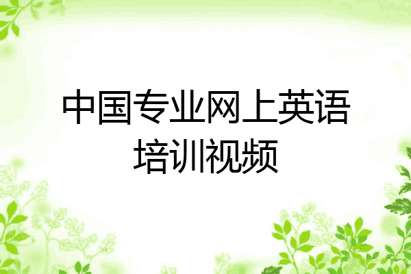 中国专业网上英语培训视频