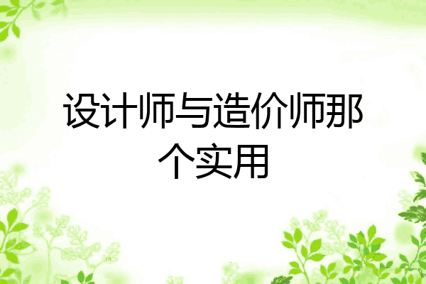 设计师与造价师那个实用
