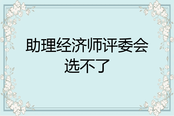助理经济师评委会选不了