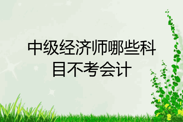 中级经济师哪些科目不考会计