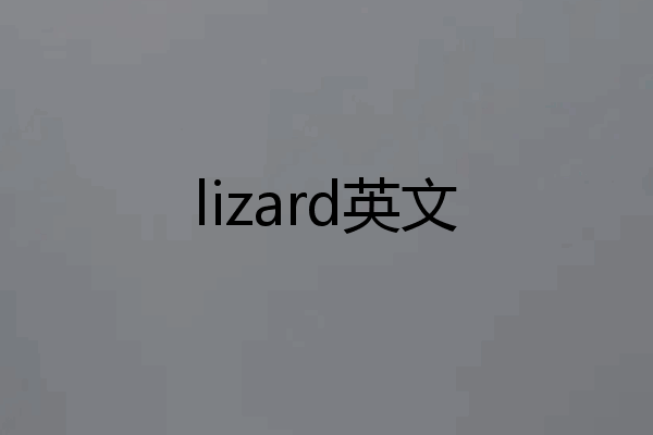 lizard英文