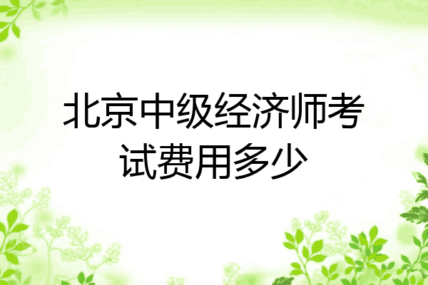 北京中级经济师考试费用多少