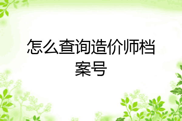 怎么查询造价师档案号