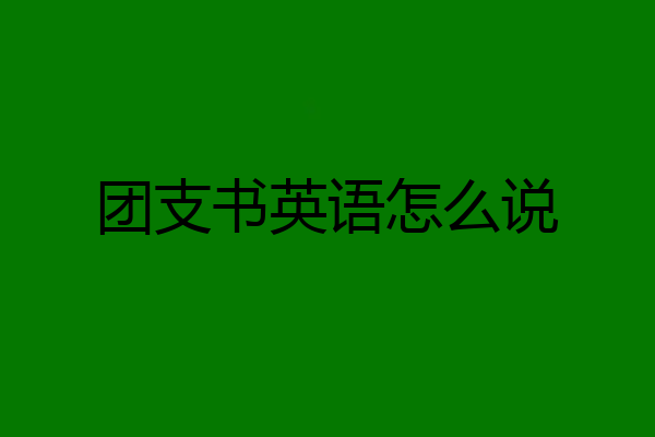 团支书英语怎么说