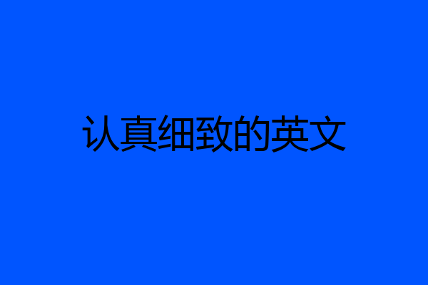 认真细致的英文