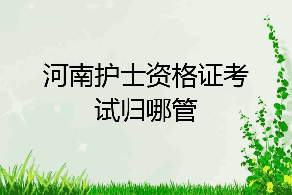 河南护士资格证考试归哪管