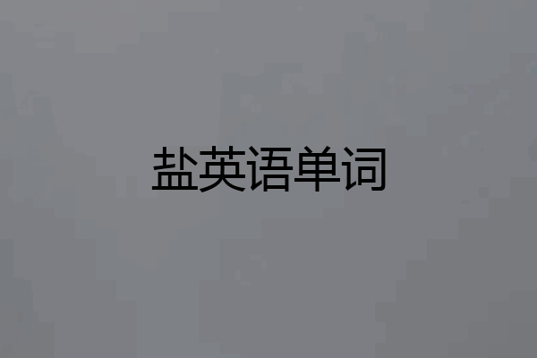 盐英语单词