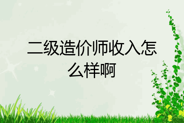 二级造价师收入怎么样啊