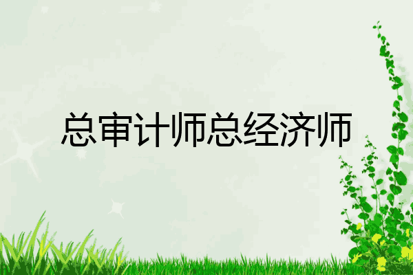 总审计师总经济师