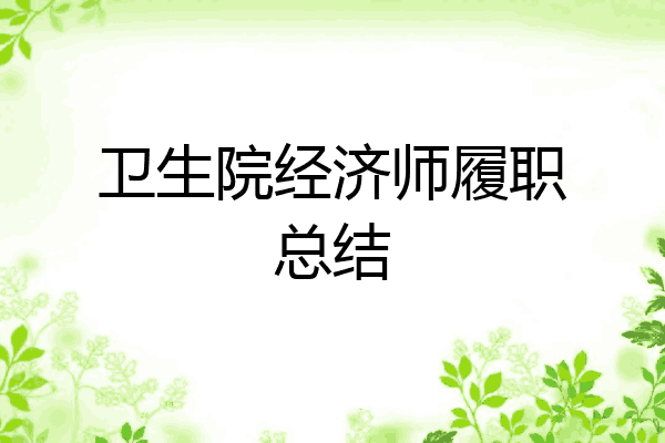 卫生院经济师履职总结
