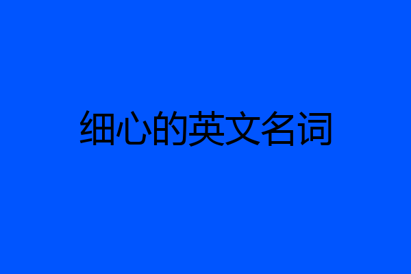 细心的英文名词