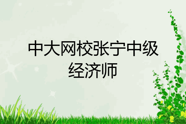 中大网校张宁中级经济师