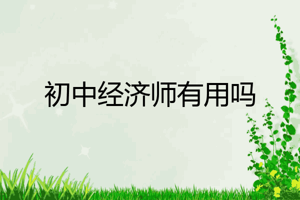 初中经济师有用吗