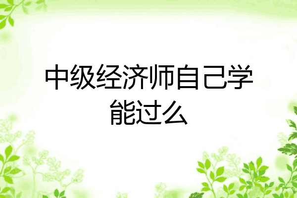 中级经济师自己学能过么