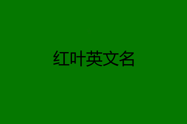 红叶英文名