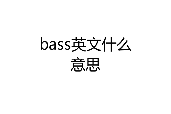 bass英文什么意思