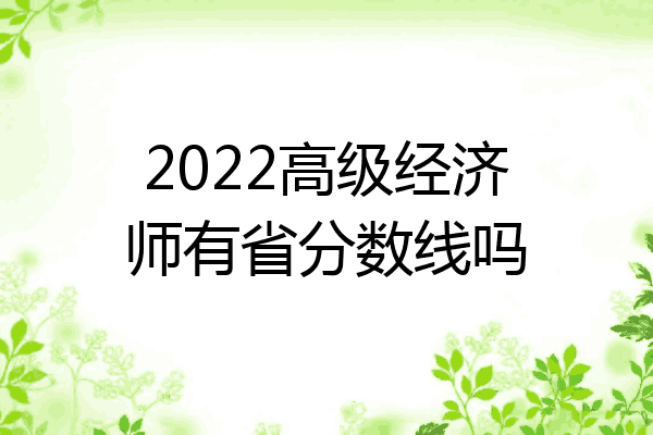 2022高级经济师有省分数线吗