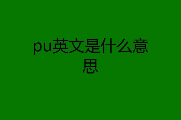 pu英文是什么意思