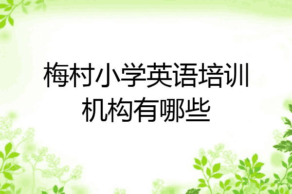 梅村小学英语培训机构有哪些