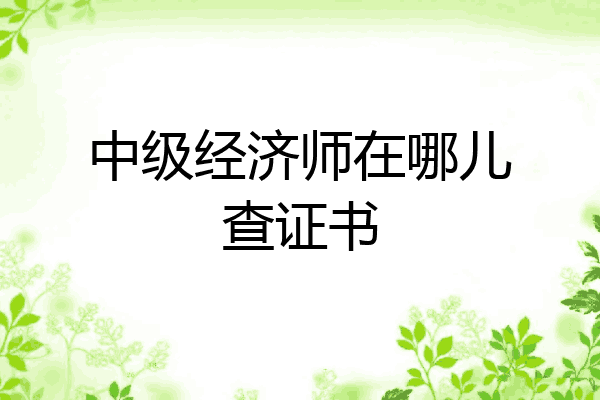 中级经济师在哪儿查证书