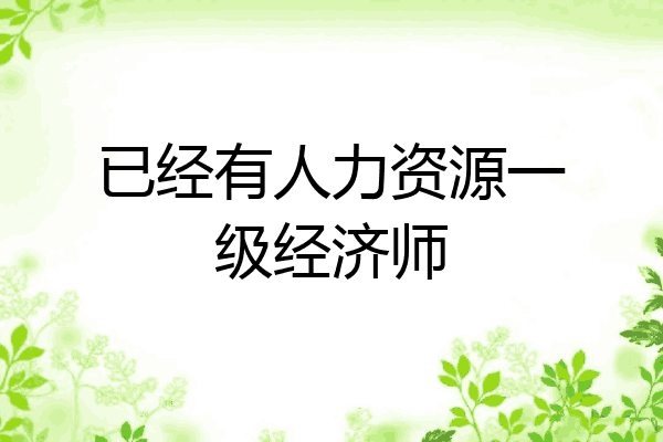 已经有人力资源一级经济师