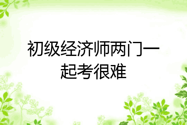 初级经济师两门一起考很难