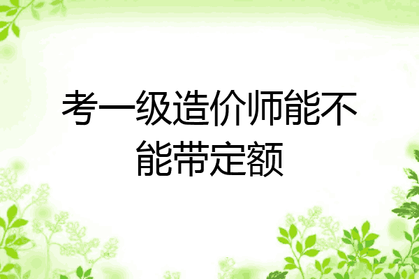 考一级造价师能不能带定额