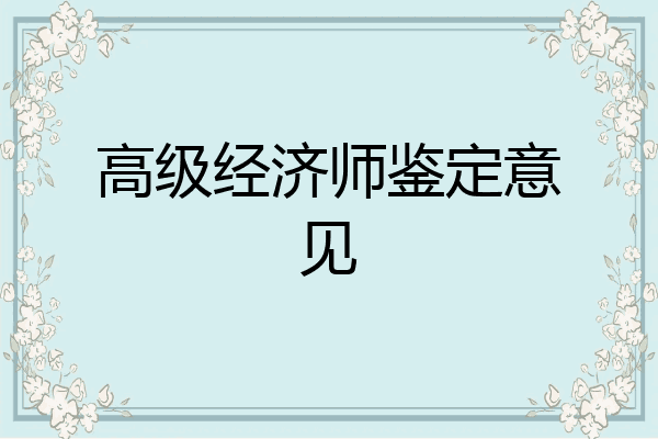高级经济师鉴定意见