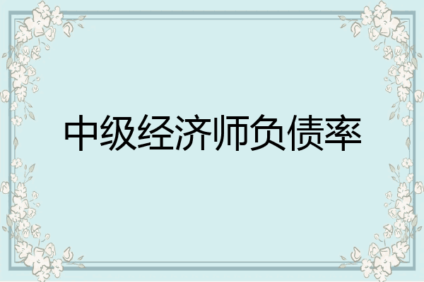 中级经济师负债率