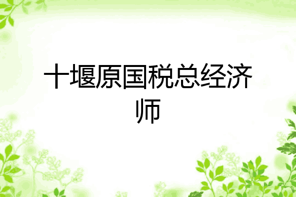 十堰原国税总经济师