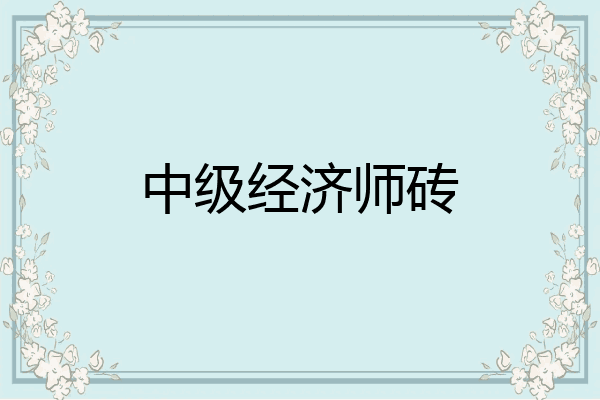 中级经济师砖