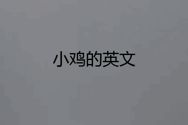 小鸡的英文
