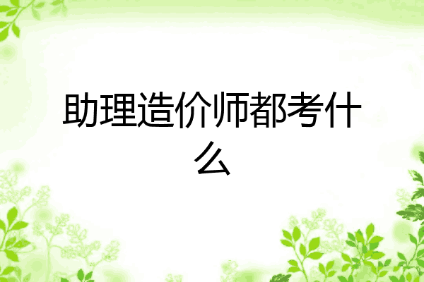 助理造价师都考什么