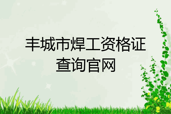 丰城市焊工资格证查询官网