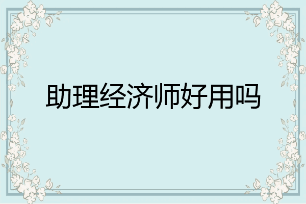 助理经济师好用吗
