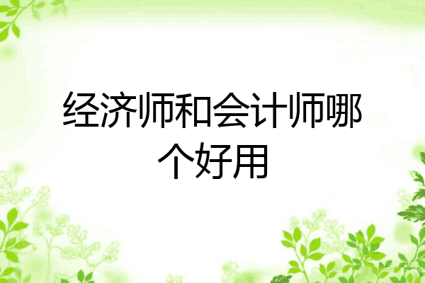 经济师和会计师哪个好用
