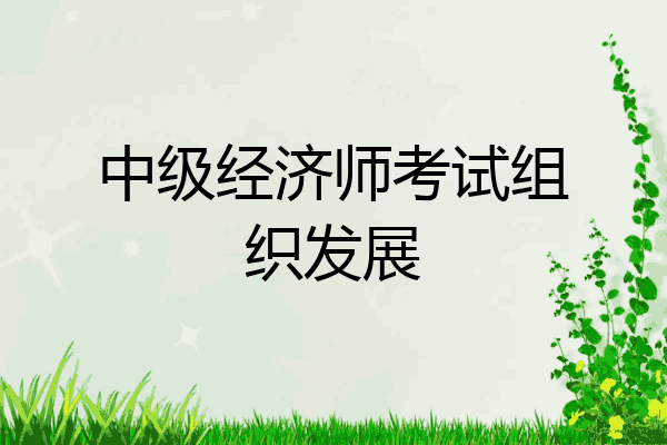 中级经济师考试组织发展