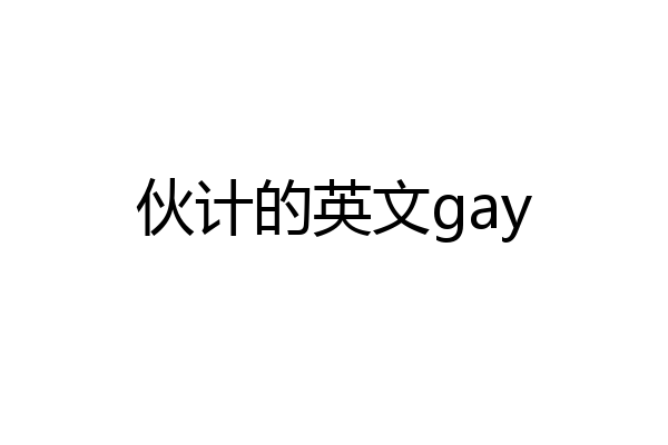 伙计的英文gay