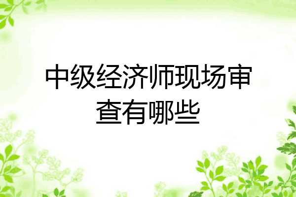 中级经济师现场审查有哪些