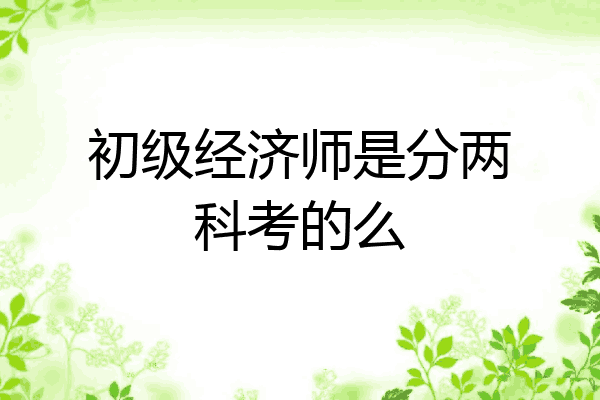 初级经济师是分两科考的么