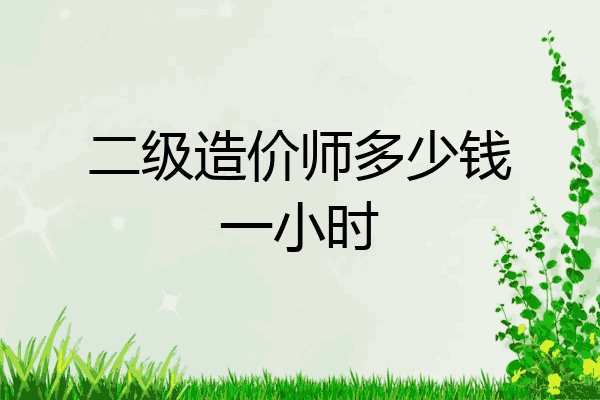 二级造价师多少钱一小时